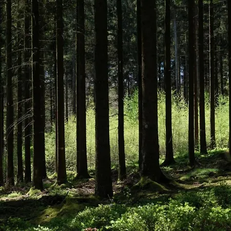 In Near Town Center 아파트