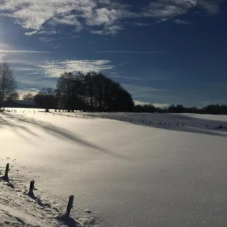 In Near Town Center *